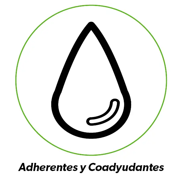 alternative